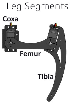 ../_images/Walking_robot-Anatomy.jpg